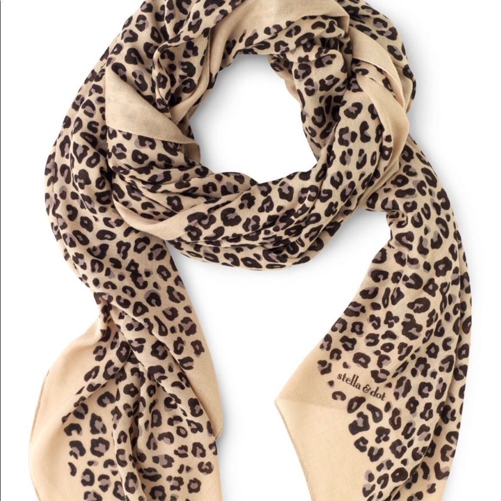 Stella & Dot Park Slope Scarf